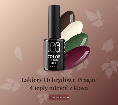 Lakiery Jesienne Palu