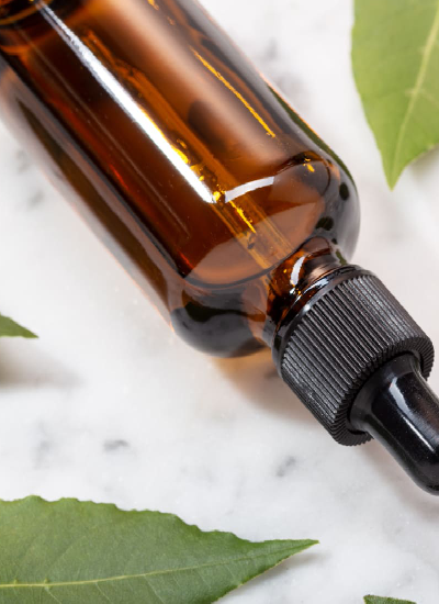 Olej laurowy – właściwości kosmetyczne oleju z drzewa laurowego