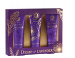 Aurora Box - Zestaw Prezentowy Dream of Lavender