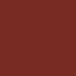 06 Coral Rose