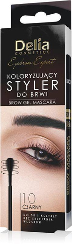 Delia Cosmetics Eyebrow Expert Koloryzujący Styler do brwi 1.0 czarny 11ml