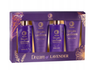 Aurora Dream of Lavender Box - 4-elementowy zestaw prezentowy