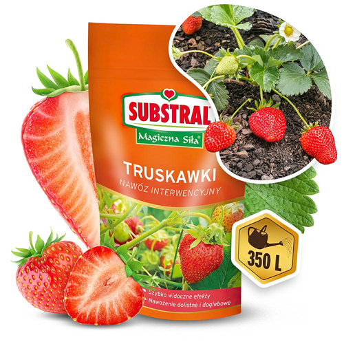 Substral Magiczna Siła nawóz do truskawek 350g