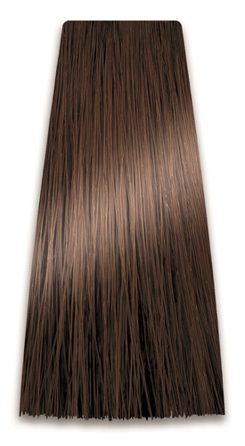 Chantal Prosalon Intensis Color Art  Farba do włosów nr 6.00 podwójny ciemny blond 100g