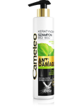 Delia Cosmetics Cameleo Szampon z keratyną bez soli  250ml