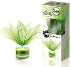 Brait Bouquet of Leaves Listki odświeżające powietrze Green Diamond50ml