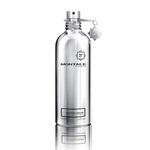 Montale Fougeres Marine woda perfumowana unisex 100ml